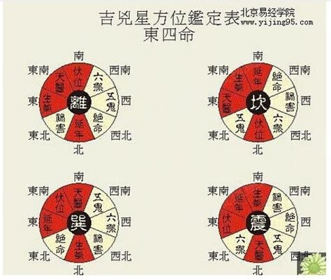 东四命离命人|何为东四命、西四命？怎么算？看这一篇就够了！